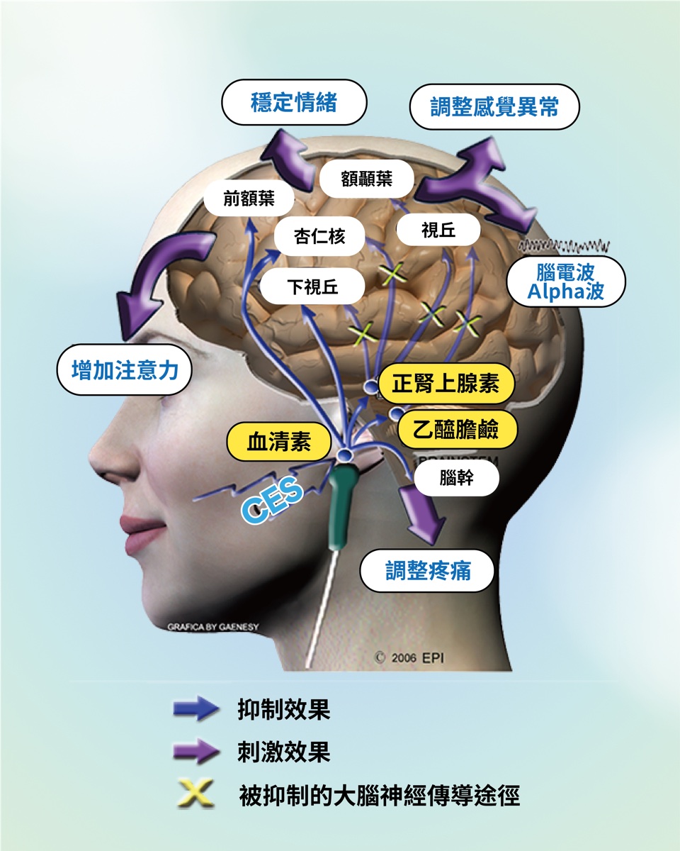 CES 在大腦作用機轉示意圖